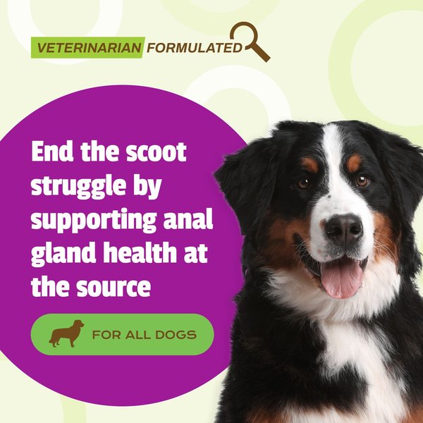 Show full view: Pet Naturals Dog Scoot Bars Dog Chews, 30 count slide 7 of 8