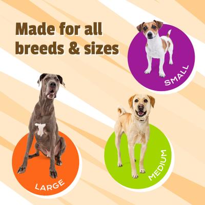 Show full view: Pet Naturals Hip + Joint Pro Dog Chews, 130 count slide 4 of 9