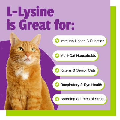 Show full view: Pet Naturals L-Lysine Immune & Respiratory Health Chicken-Flavored Chews Supplement for Cats, 60 count slide 4 of 11