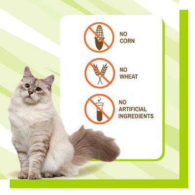 Show full view: Pet Naturals L-Lysine Immune & Respiratory Health Chicken-Flavored Chews Supplement for Cats, 60 count slide 9 of 11