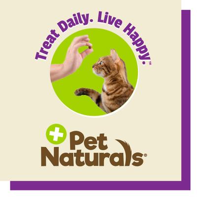 Show full view: Pet Naturals L-Lysine Immune & Respiratory Health Chicken-Flavored Chews Supplement for Cats, 60 count slide 10 of 11