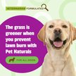 Show in main carousel: Pet Naturals Lawn Aid Dog Chews, 60 count slide 7 of 8
