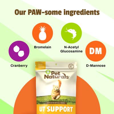 Show full view: Pet Naturals UT Support Cat Chews, 60 count slide 5 of 9