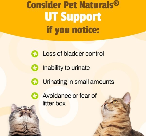 Pet Naturals UT Support Cat Chews