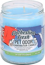 Pet Odor Exterminator Clothesline Fresh Deodorizing Candle, 13-oz jar