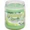 Show in main carousel: Pet Odor Exterminator Cool Cucumber & Honeydew Candle, 13-oz slide 2 of 3