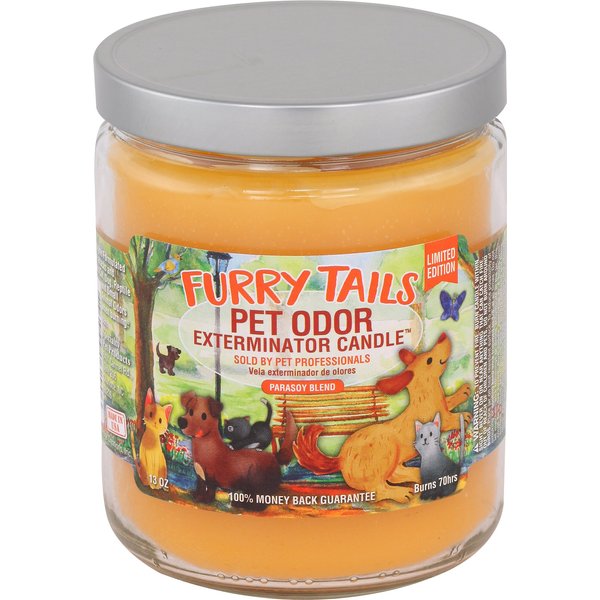 Pet Odor Exterminator Forest Walk Deodorizing Candle, 13-oz jar