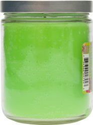 Pet Odor Exterminator Hippie Love Deodorizing Candle, 13-oz slide 2 of 2