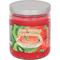 Show in main carousel: Pet Odor Exterminator Kiwi Twisted Strawberry Deodorizing Candle Jar, 13-oz jar slide 1 of 3