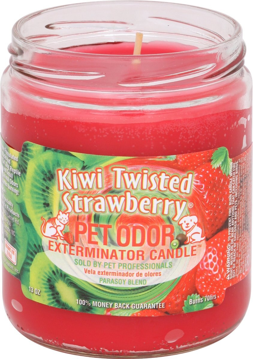 Pet Odor Exterminator Evergreen & Berries Deodorizing Candle