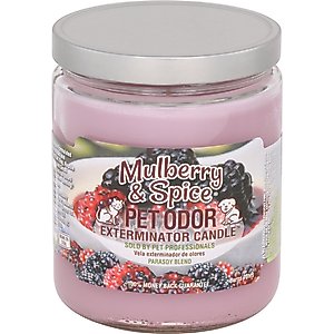 Pet Odor Exterminator Mulberry & Spice Deodorizing Candle, 13-oz jar