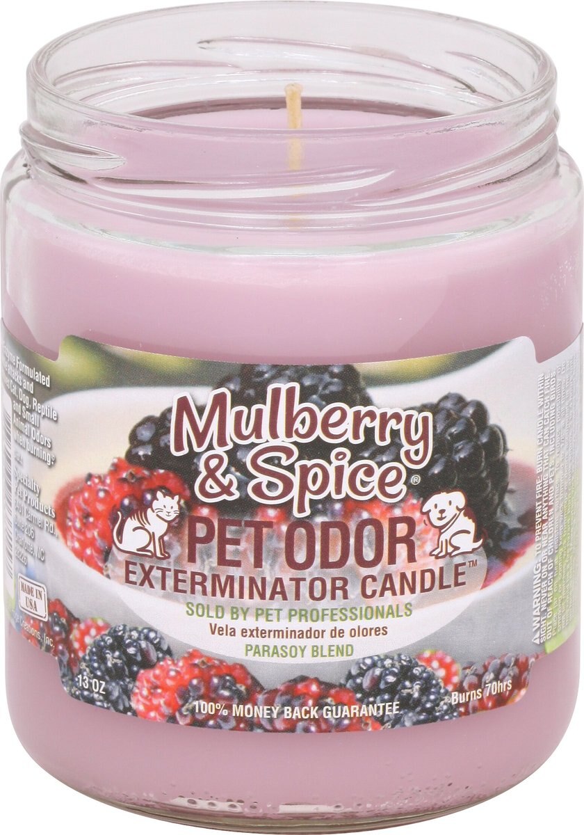 Pet Odor Exterminator Mandarin Spice Deodorizing Candle