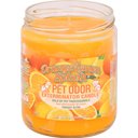 Pet Odor Exterminator Orange Lemon Splash Deodorizing Candle, 13-oz jar