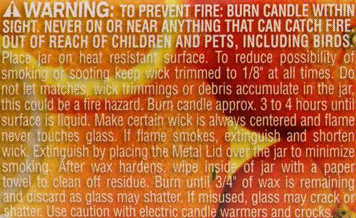 Pet Odor Exterminator Orange Lemon Splash Deodorizing Candle