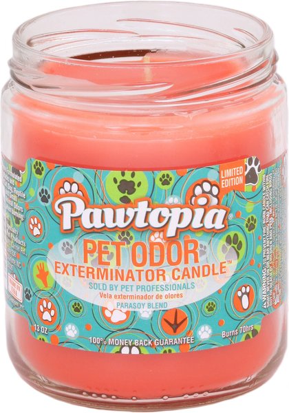Pet Odor Exterminator PawStruck Deodorizing Candle, 13-oz jar