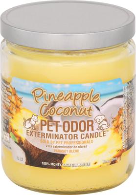 Show full view: Pet Odor Exterminator Pineapple Coconut Deodorizing Candle, 13-oz slide 1 of 5