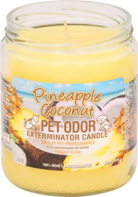 Show full view: Pet Odor Exterminator Pineapple Coconut Deodorizing Candle, 13-oz slide 2 of 5