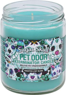 Show full view: Pet Odor Exterminator Sugar Skull Deodorizing Candle, 13-oz jar slide 1 of 6