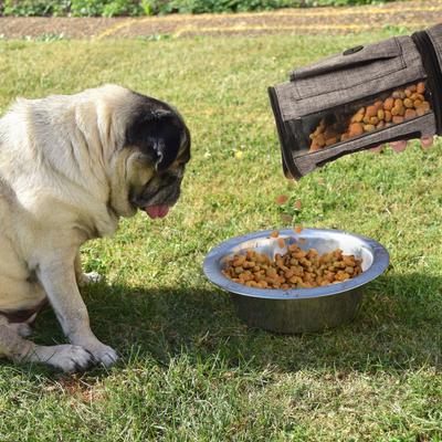 Show full view: Pet Parade Pooch Pal Dog Feeder, Gray slide 4 of 9