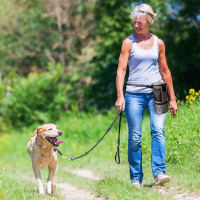 Show full view: Pet Parade Pooch Pal Dog Feeder, Gray slide 7 of 9