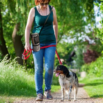Show full view: Pet Parade Pooch Pal Dog Feeder, Gray slide 8 of 9