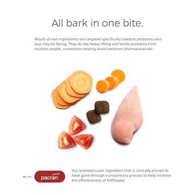 Show full view: Pet Parents Bladder SoftSupps Cranberry Bladder Dog Supplement, 90 count slide 3 of 11