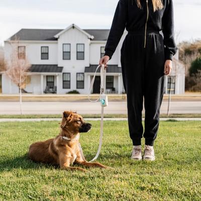 Show full view: Pet Parents DooBetter 100% Plant Based Dog & Cat Litter & Poop Waste Bags, Lavender, 120 count slide 8 of 9