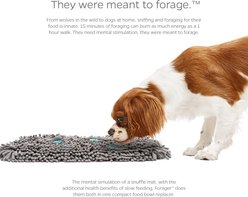 Pet Parents Forager Slow Feeder Cat & Dog Snuffle Mat & Feeding Mat, Meadow Ponds, Medium slide 2 of 9