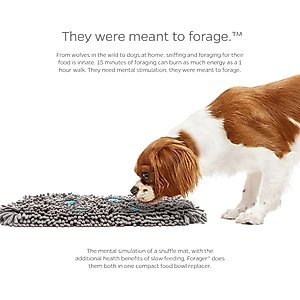 Pet Parents Forager Slow Feeder Cat & Dog Snuffle Mat & Feeding Mat, Meadow Ponds, Medium