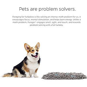Pet Parents Forager Slow Feeder Cat & Dog Snuffle Mat & Feeding Mat, Meadow Ponds, Medium