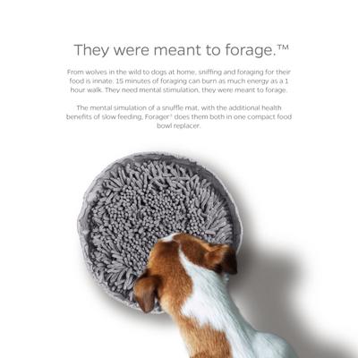 Show full view: Pet Parents Forager Snuffle Mat & Slow Feeder Dog Bowl, Forest Grey slide 4 of 11