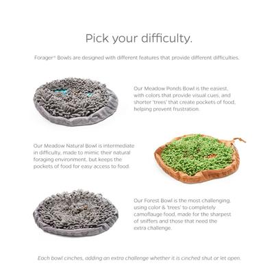 Show full view: Pet Parents Forager Snuffle Mat & Slow Feeder Dog Bowl, Meadow Natural slide 3 of 11