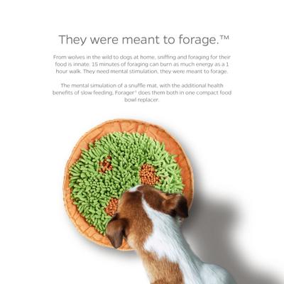 Show full view: Pet Parents Forager Snuffle Mat & Slow Feeder Dog Bowl, Meadow Natural slide 4 of 11