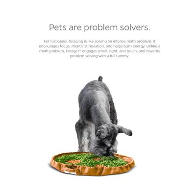 Show full view: Pet Parents Forager Snuffle Mat & Slow Feeder Dog Bowl, Meadow Natural slide 6 of 11