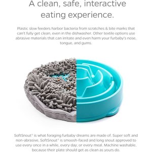 Pet Parents Forager Snuffle Mat & Slow Feeder Dog Bowl, Meadow Ponds