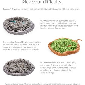 Pet Parents Forager Snuffle Mat & Slow Feeder Dog Bowl, Meadow Ponds