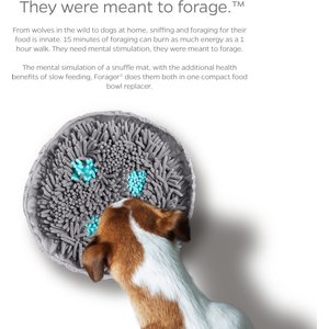 Pet Parents Forager Snuffle Mat & Slow Feeder Dog Bowl, Meadow Ponds