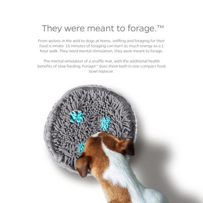 Show full view: Pet Parents Forager Snuffle Mat & Slow Feeder Dog Bowl, Meadow Ponds slide 4 of 11