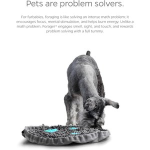 Pet Parents Forager Snuffle Mat & Slow Feeder Dog Bowl, Meadow Ponds