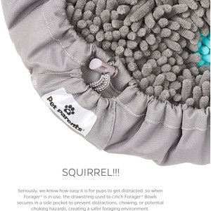 Pet Parents Forager Snuffle Mat & Slow Feeder Dog Bowl, Meadow Ponds