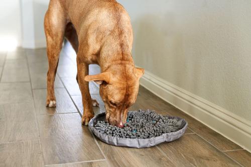 Show full view: Pet Parents Forager Snuffle Mat & Slow Feeder Dog Bowl, Meadow Ponds slide 9 of 11
