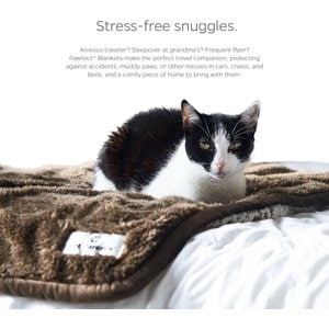 Pet Parents Pawtect Blanket Waterproof Premium Dog, Cat, & Puppy Blanket, Chocolate, Small