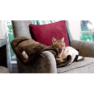 Pet Parents Pawtect Blanket Waterproof Premium Dog, Cat, & Puppy Blanket, Chocolate, Small