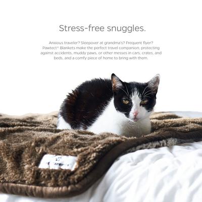 Show full view: Pet Parents Pawtect Blanket Waterproof Premium Dog, Cat, & Puppy Blanket, Slate, Medium slide 6 of 12