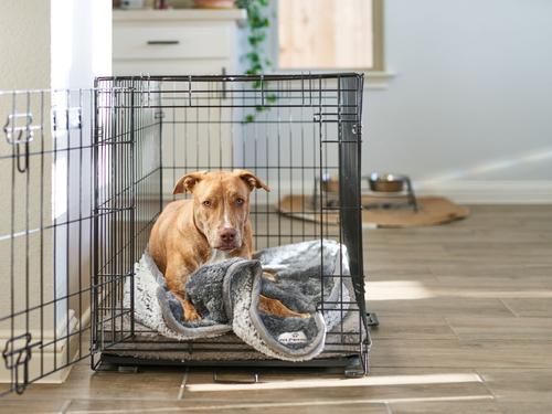 Show full view: Pet Parents Pawtect Blanket Waterproof Premium Dog, Cat, & Puppy Blanket, Slate, Medium slide 10 of 12