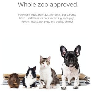 Pet Parents Pawtect Pads Washable Training Puppy, Dog & Cat Pee Pads, 2 count, 18x24-in, Grey