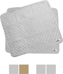 Pet Parents Pawtect Pads Washable Training Puppy, Dog & Cat Pee Pads, 2 count, 34x36-in Grey