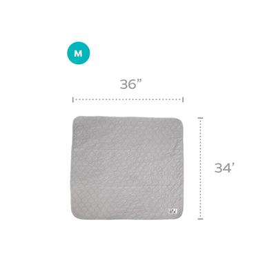 Show full view: Pet Parents Pawtect Pads Washable Training Puppy, Dog & Cat Pee Pads, 2 count, 34x36-in Grey slide 2 of 11