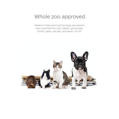 Show full view: Pet Parents Pawtect Pads Whelping Round Washable Training, Puppy, Cat, & Dog Pee Pads, 17 x 17-in, 2 count, Unscented slide 9 of 10