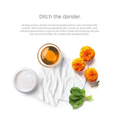 Show full view: Pet Parents Pet WiPees All Purpose Skin & Coat Dog Wipes, Calming Scent, 100 count slide 2 of 8